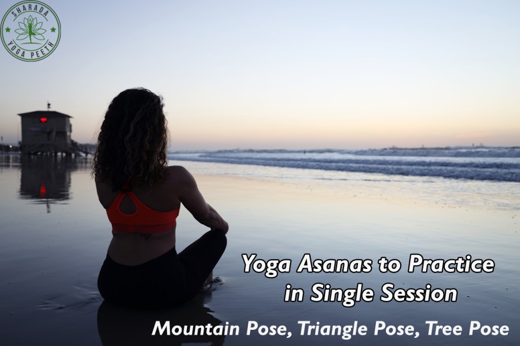 Yoga Teacher Training in India